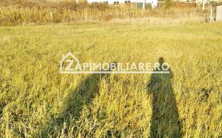 Teren 780 mp, Livezeni cu PUG aprobat recent,asfalt - Poză 13