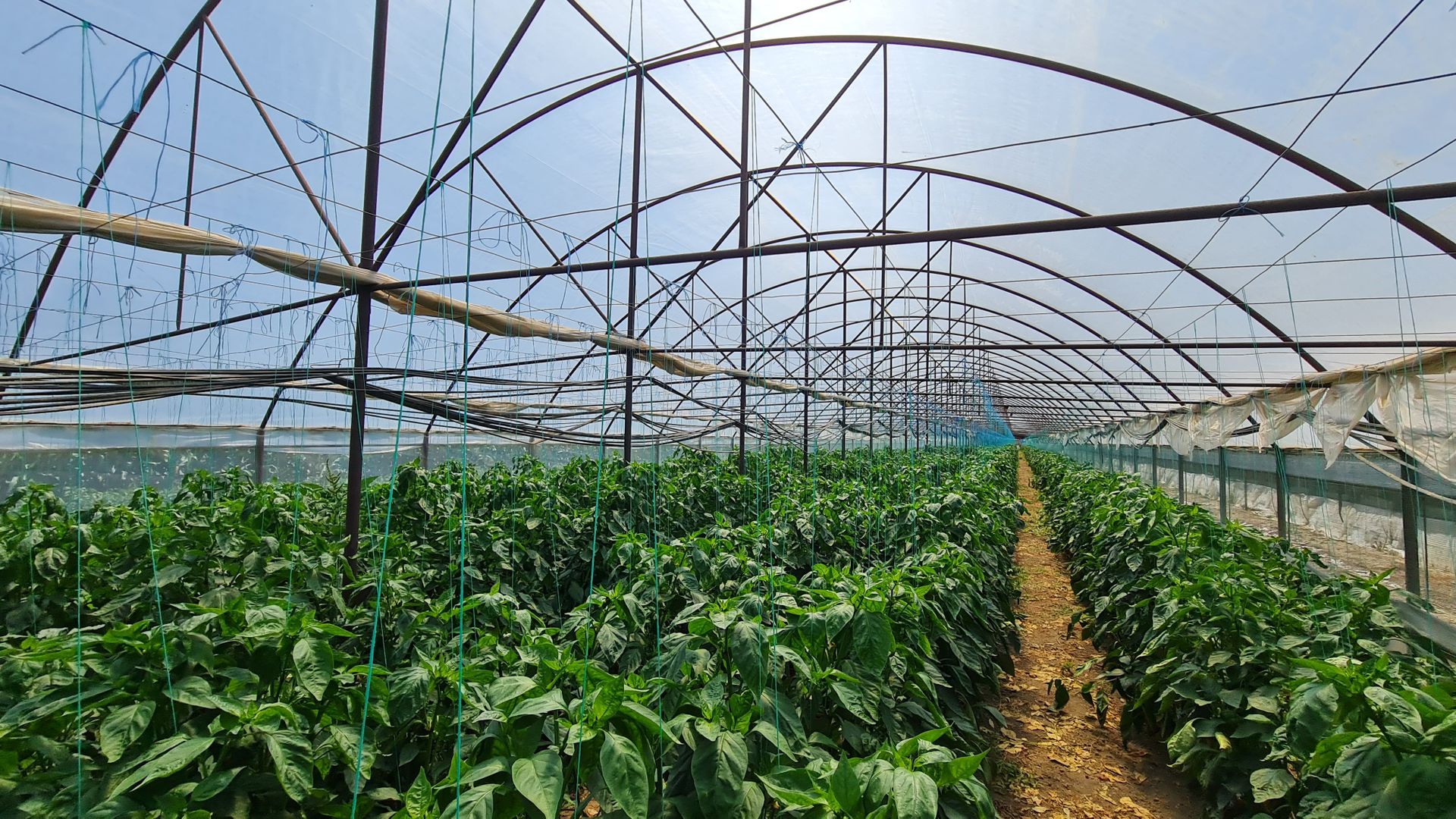 Afacere la cheie! Incasari din prima zi!!! - Poză 2