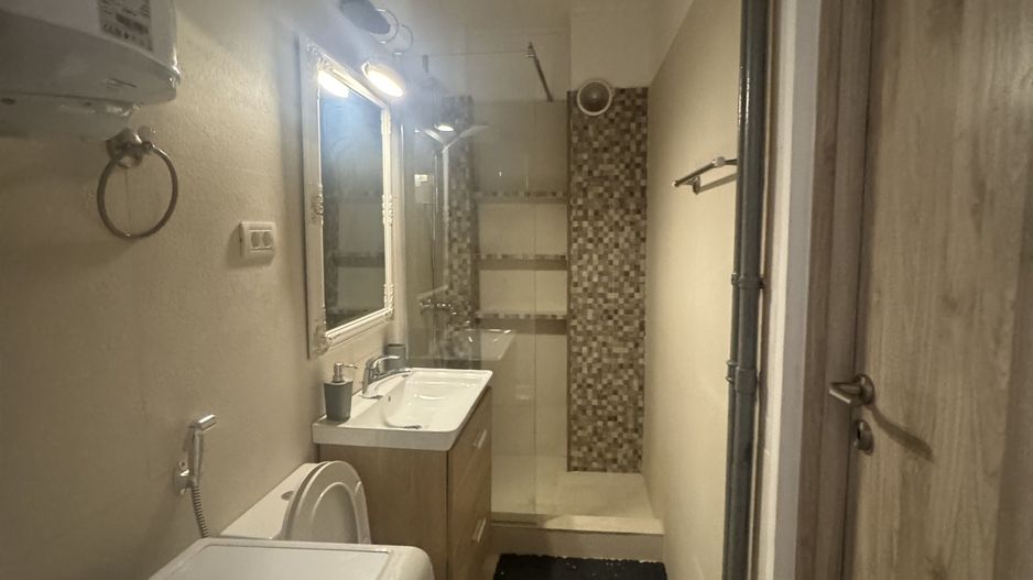 3 camere| ION MIHALACHE - Poză 7