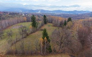 Teren intravilan, cu PUZ, Bran Tohanita,  SE ACCEPTĂ ȘI SCHIMB - Poză 16