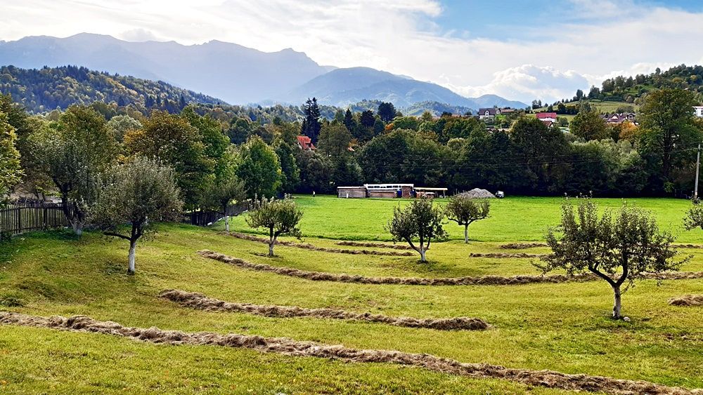 Teren superb de 16240mp, parcelabil, in Bran la intrare in Moeciu de Jos - Poză 1