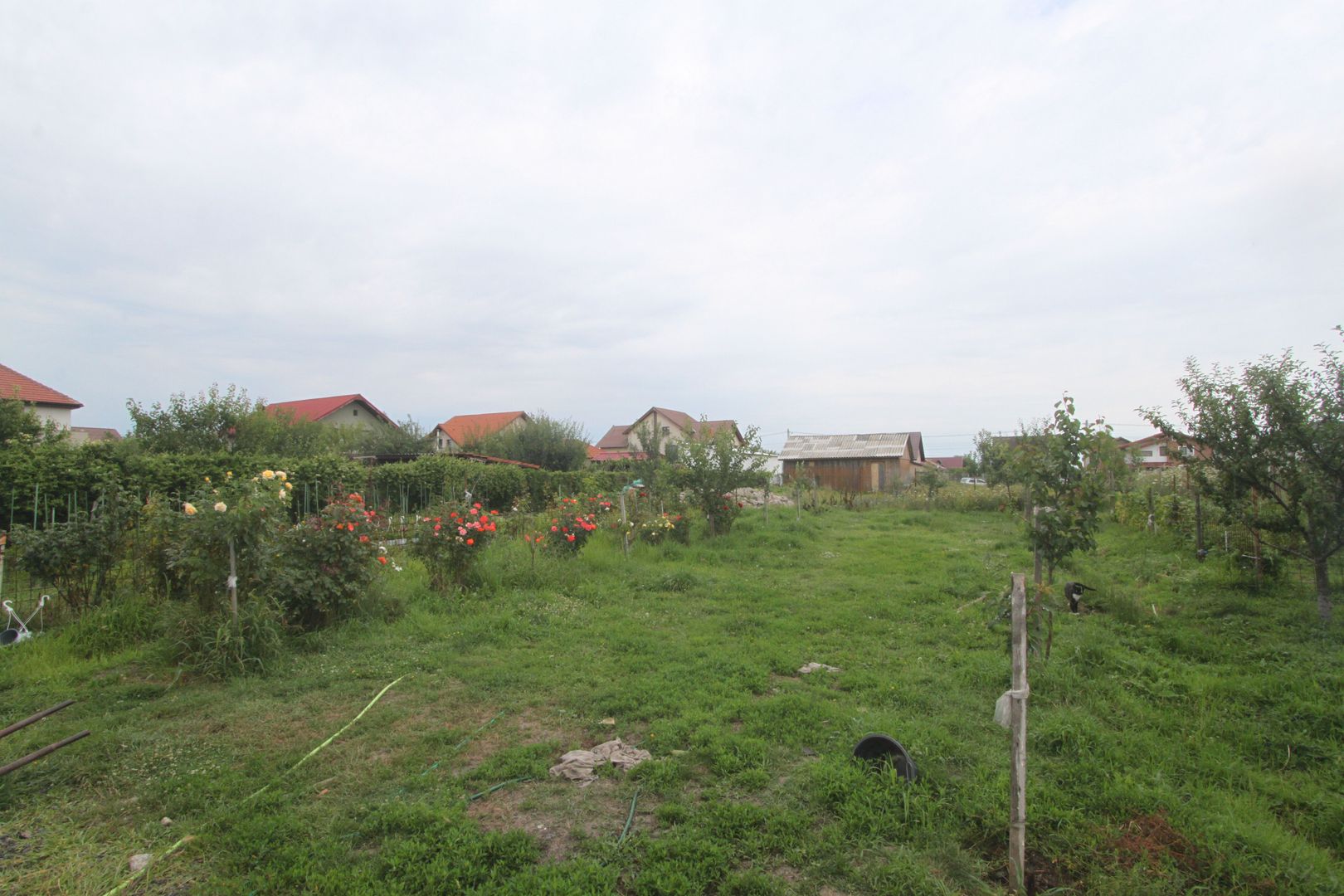 Vila - BEREGSAUL MARE - Poză 5