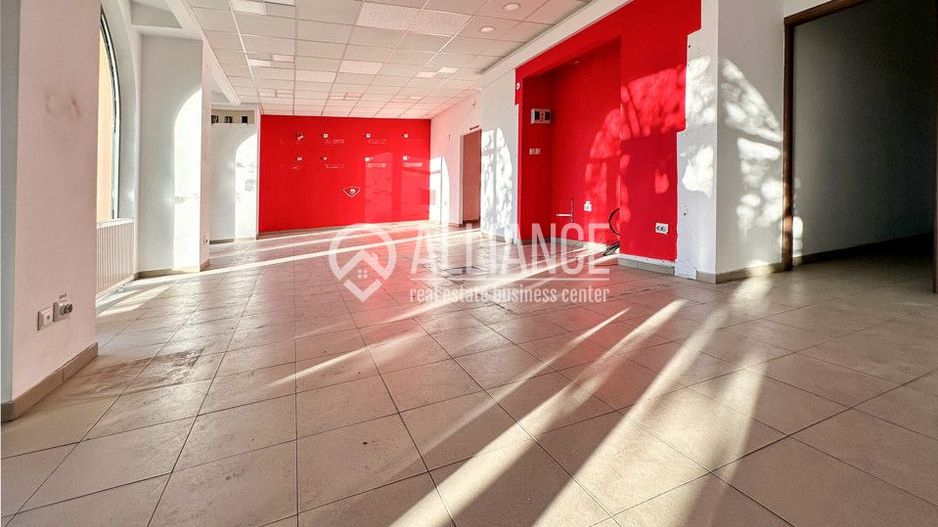 DELFINARIU (COD10) - Spatiu comercial de inchiriat - Poză 4