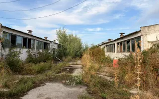 Fermă Sărand | Bihor | 25.659 mp teren intravilan - Poză 16
