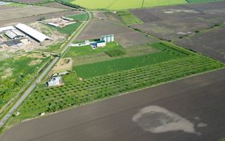 Livadă de nuci și pruni 2.4ha în Variașul Mare - Poză 6