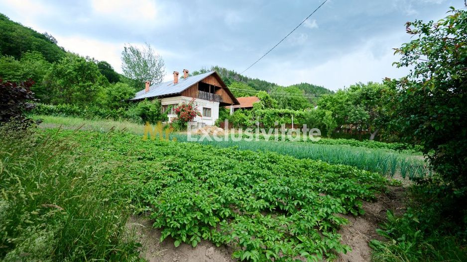 Casa cu teren generos - 4696 mp Apa Sarata - Campulung !! - Poză 1
