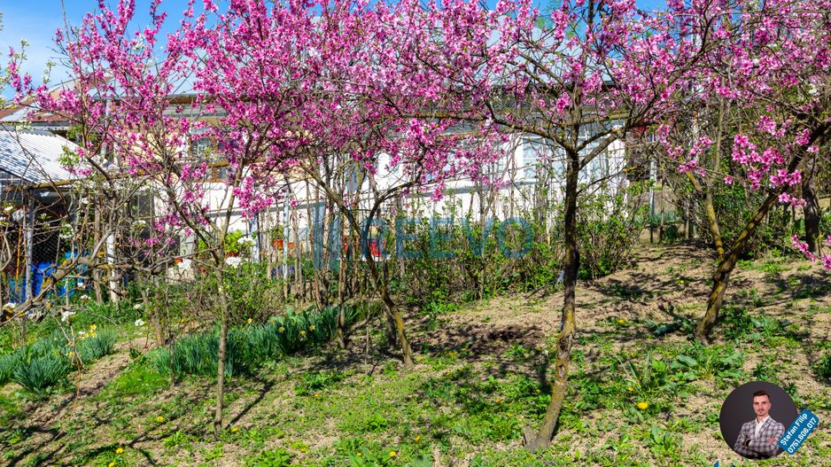 Casă și teren de vânzare, sat Buda, Blăgești, Bacău - Poză 40