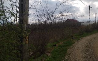 Teren de vânzare în Perieni, Iași – 2.500 mp - Poză 3