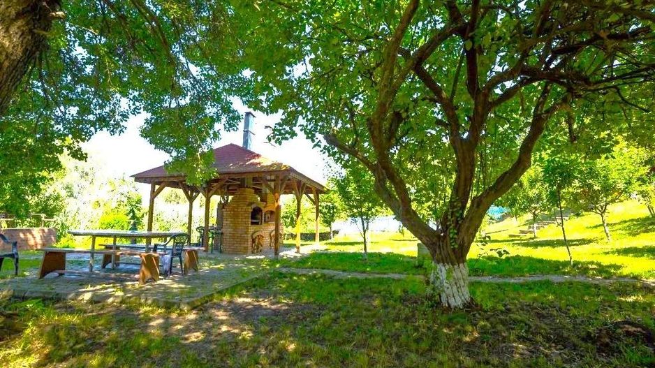 Oportunitate de investitie| Delta Dunarii |Mila 23| pensiune activa - Poză 8