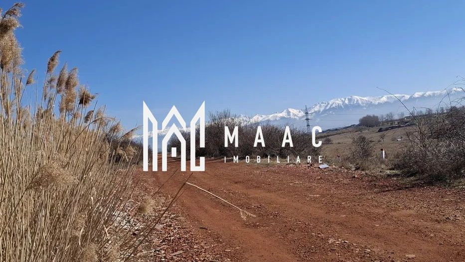 Teren Extravilan I 3400mp I Intabulat I Zona Dealul Daii - Poză 2