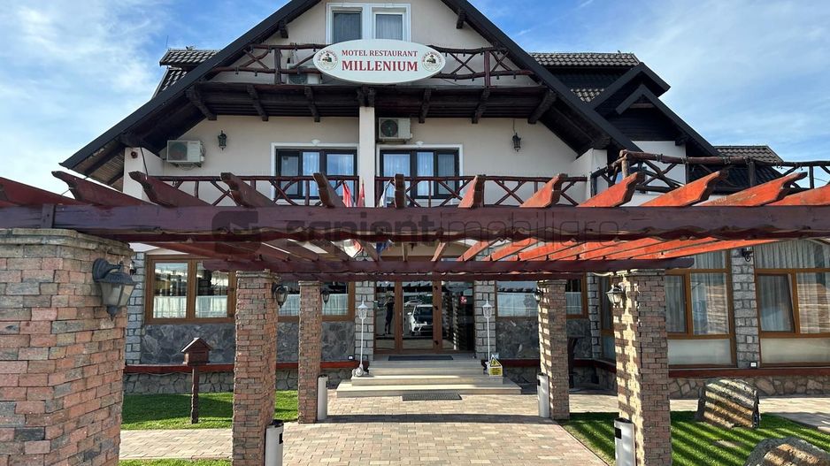 Sapient| Hotel Millenium - Poză 1