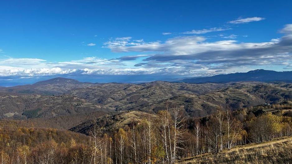 Teren extravilan 2ha, priveliste panoramica spre munti /Poiana Marului - Poză 10