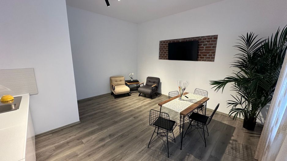 Casa Lipovei transformata in SAD - Poză 19