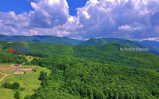 AZURA Imobiliare Pitesti - Casă de vacanță, Nucșoara! - Poză 25