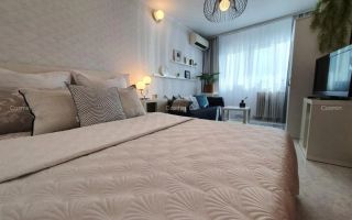 Garsoniera- Banu Manta, Kiseleff - Poză 5