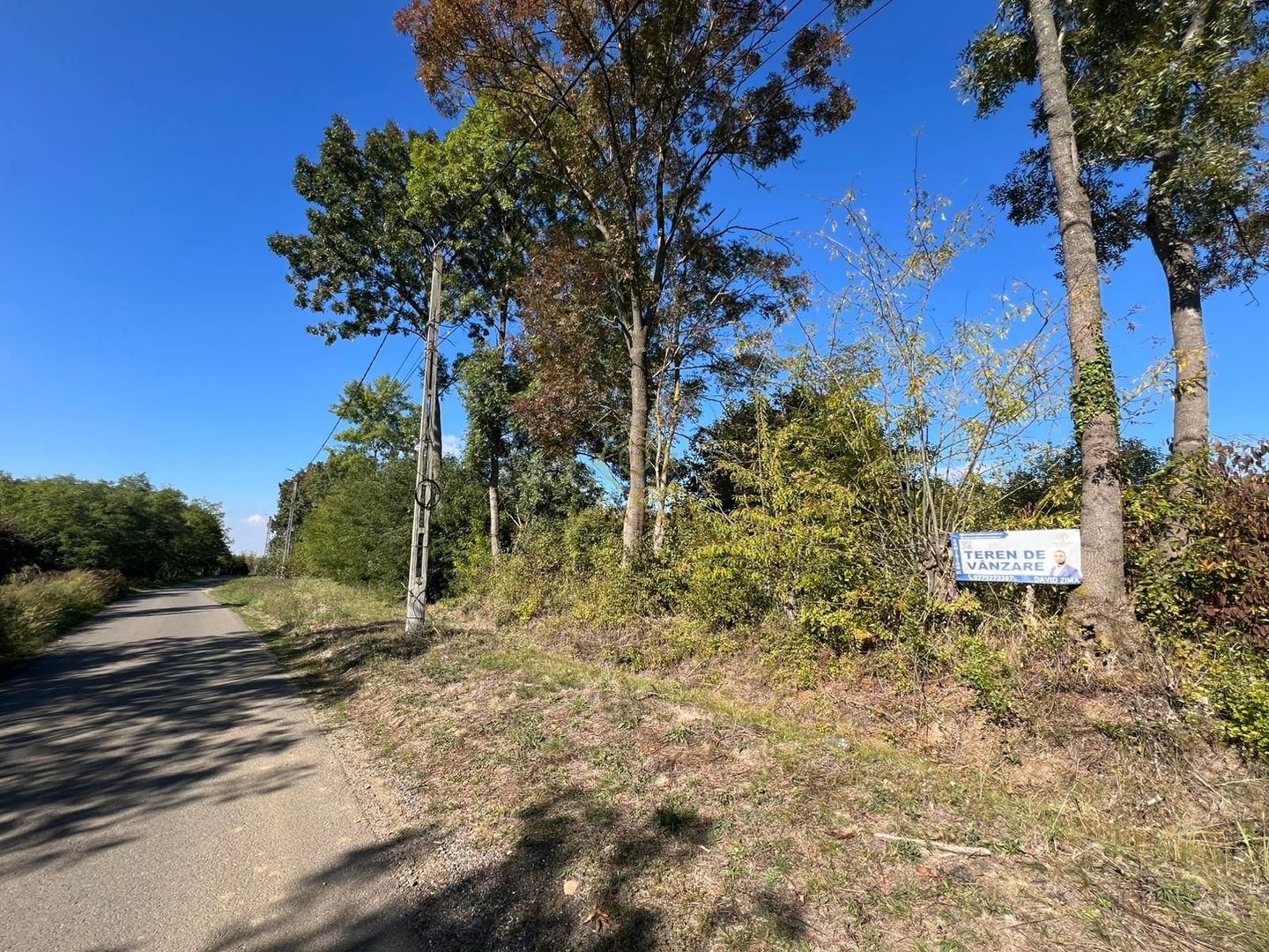 De vanzare Teren Intravilan Viile Satu Mare 2812MP/Dublu Front Stradal - Poză 7