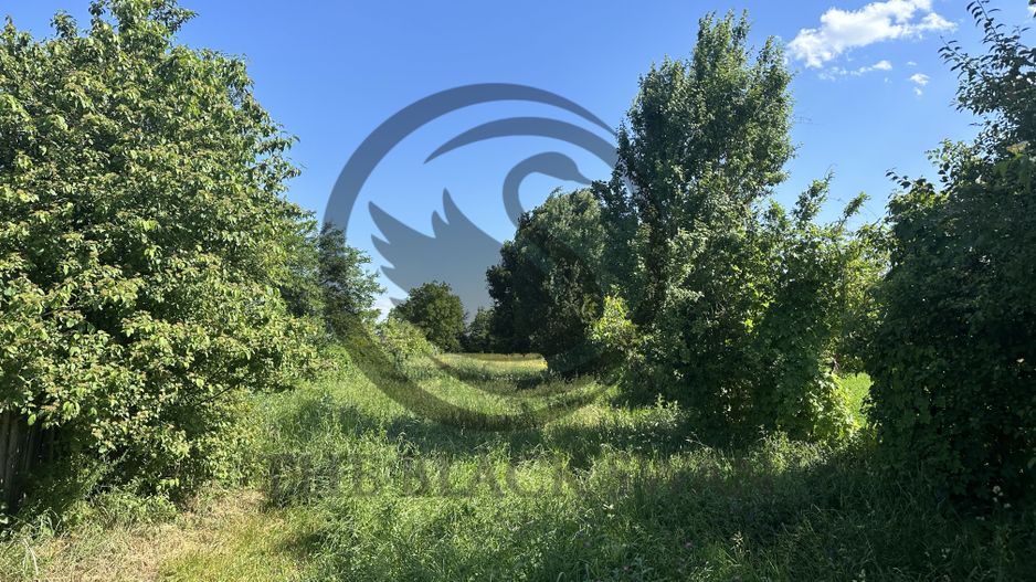 Teren Vanzare 11.000 MP Ghirdoveni | Comision 0% - Poză 6