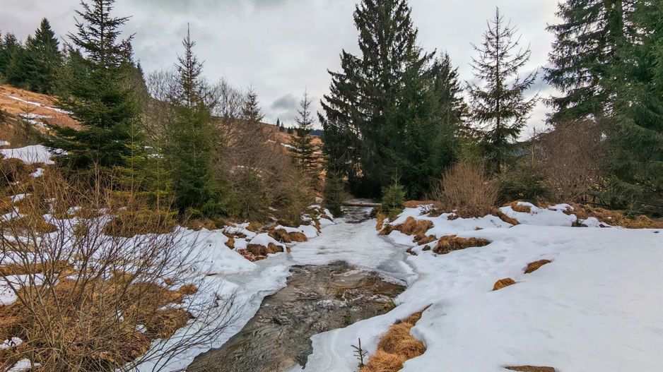 7.858 mp Teren Rar cu Pârâu și Izvoare, Beliș-Fântânele, Cluj - Poză 3