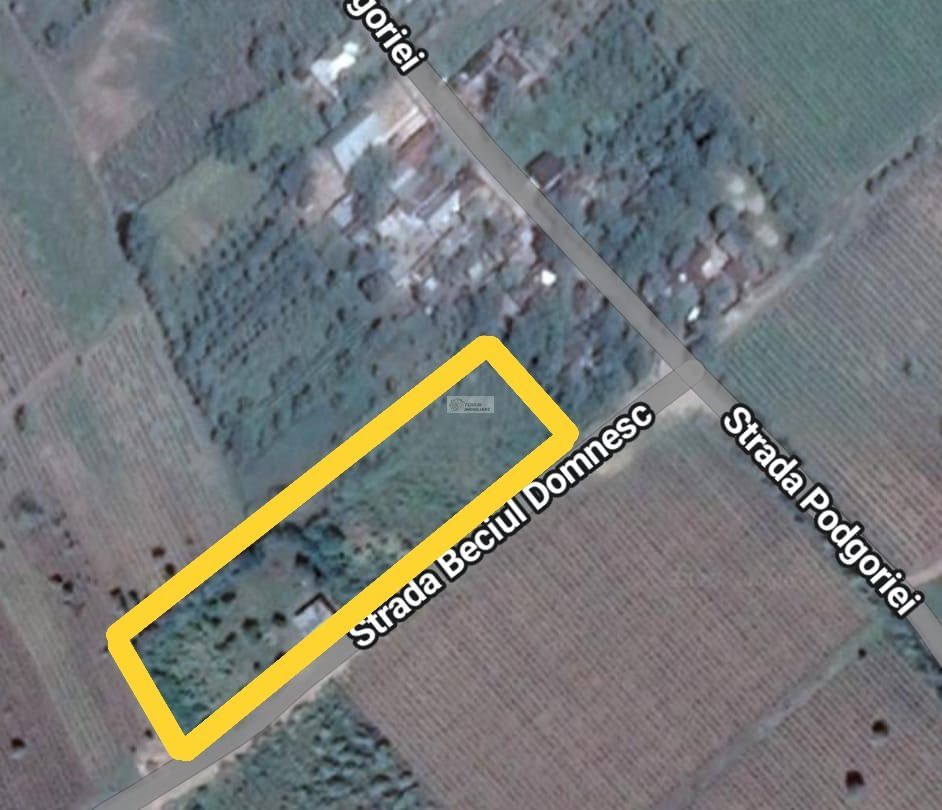 Teren 4000mp, zona Beciul Domnesc,extravilan,langa Odobesti - Poză 2