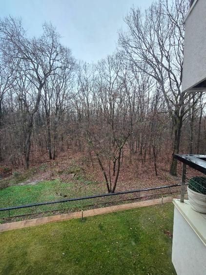 3 room apartment | Forest view | Pipera-Iancu Nicolae | Parking | Storage room - Poză 3