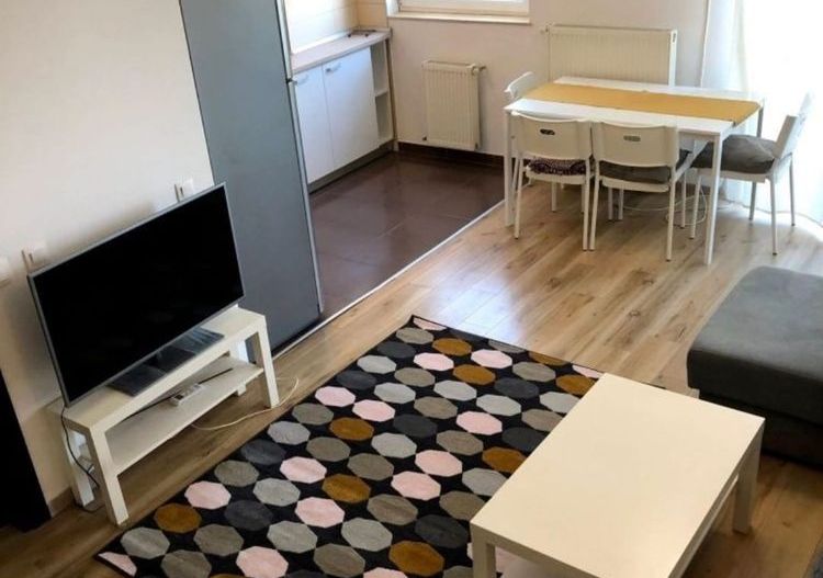 Inchiriere Duplex 2 camere Serena Apartments Parcul Carol - Poză 4