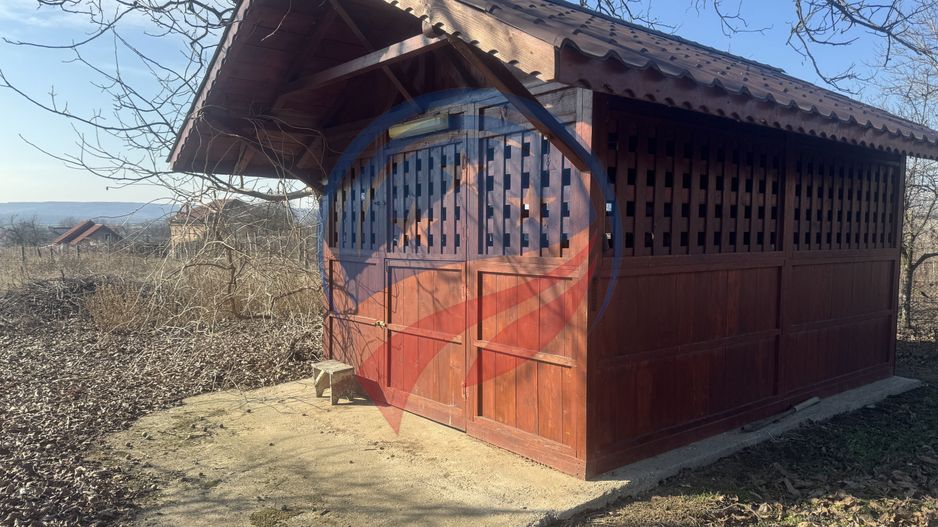 Proprietate deosebita in Filiasi - Poză 22