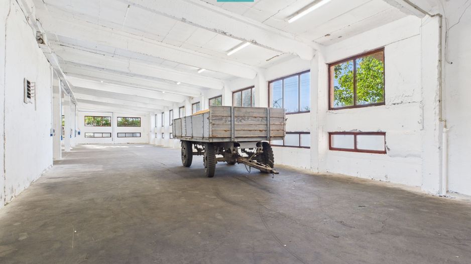 Hală industrială cu multiple destinații în Nădlac - Poză 5