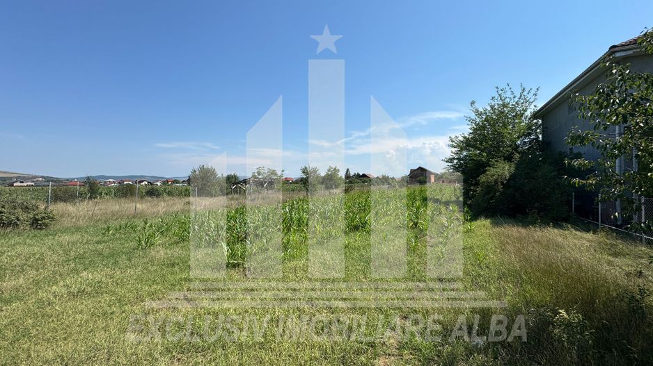 Teren intravilan de vanzare, Micesti - Poză 4