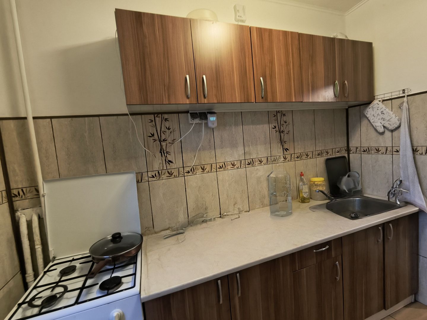 Metrou 1 Mai - Pod Constanța - Agronomie - Poză 7