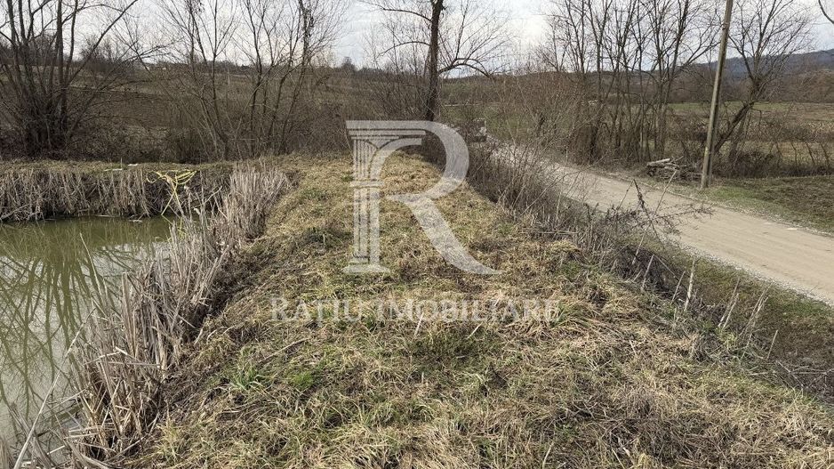 Pescărie cu teren intravilan | Drăgești | Bihor - Poză 6