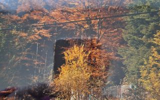 Oferta de top I Casa si Teren in Sinaia - Poză 16