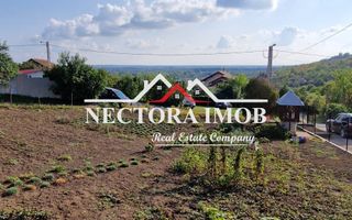 NECTORA IMOB-Casa Zona Podgoria cu 3 incaperi, 1700 mp teren,tip Conac - Poză 9