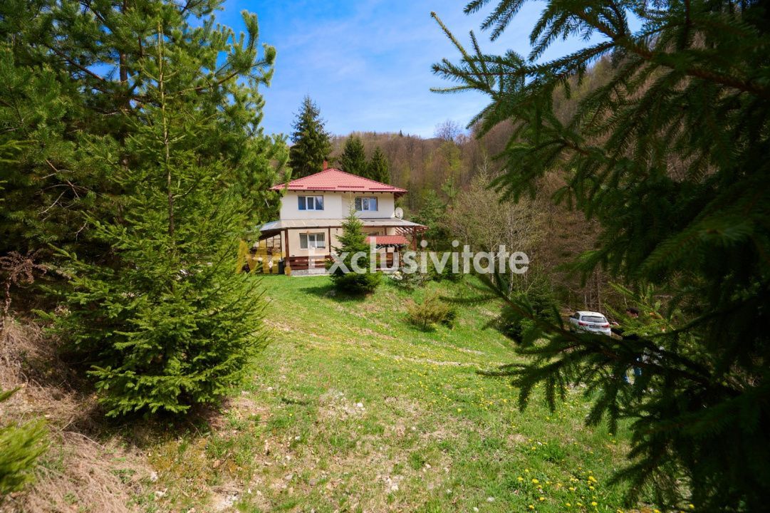 Casa Dambovicioara - CASA de vacanta sau PENSIUNE profitabila - Poză 2