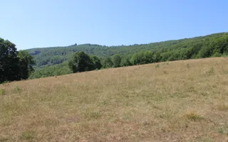 Terenuri Carpinis I parcelabil I Curent pe proprietati - Poză 21