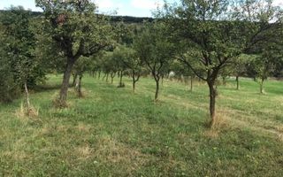 Teren extravilan - Sibiel, Sibiu - Poză 9