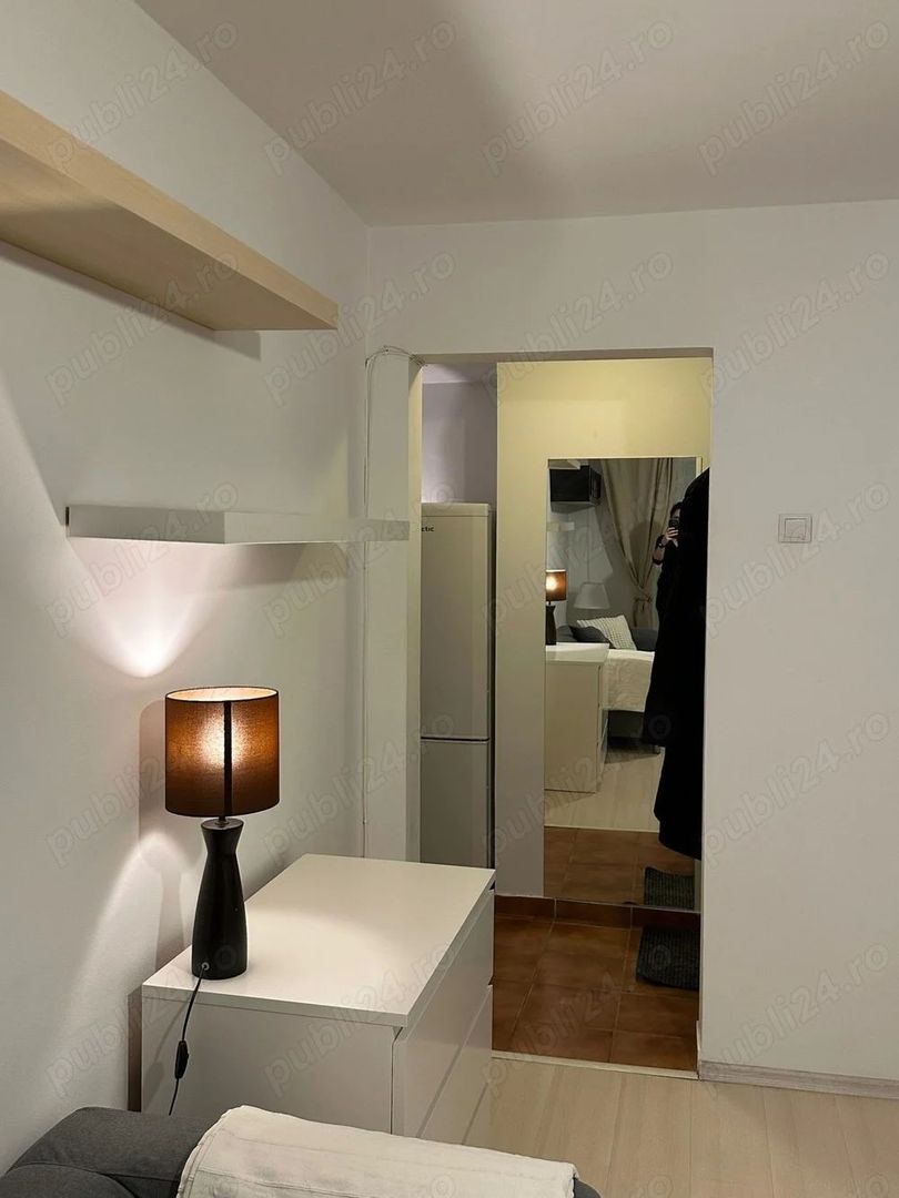 Apartament luminos Iacob Felix-Piata Victoriei - Poză 7