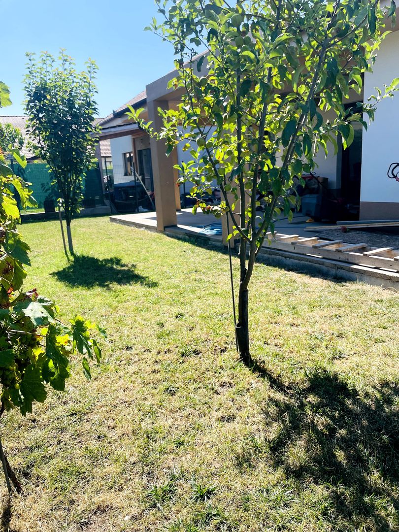 Casă parter semifinisatǎ Cihei – 300 mp teren - Poză 4