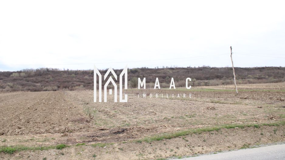 Oportunități de Investiție în Terenuri Sebesul de Sus - Poză 11