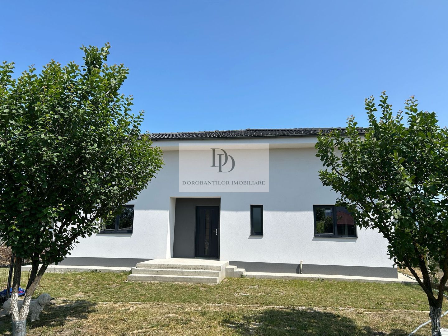 Vanzare 3 case | Teren 1400 mp | Garaj auto + Anexe - Poză 4