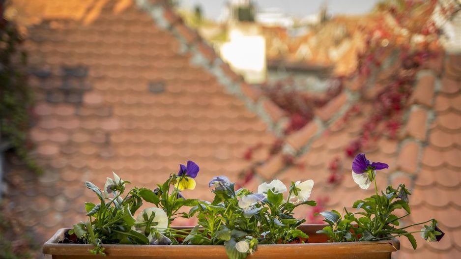 Duplex de vanzare in Cotroceni - 171mp COMISION 0% - Poză 16