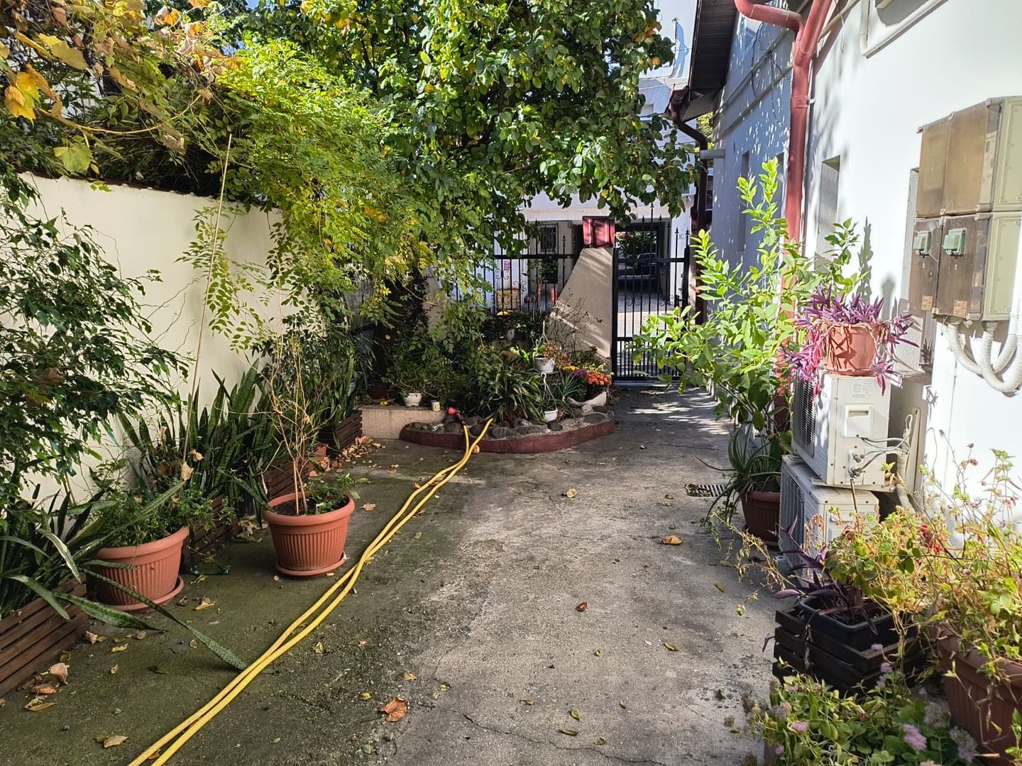 Bd Timisoarei- Plaza Mall - Poză 20