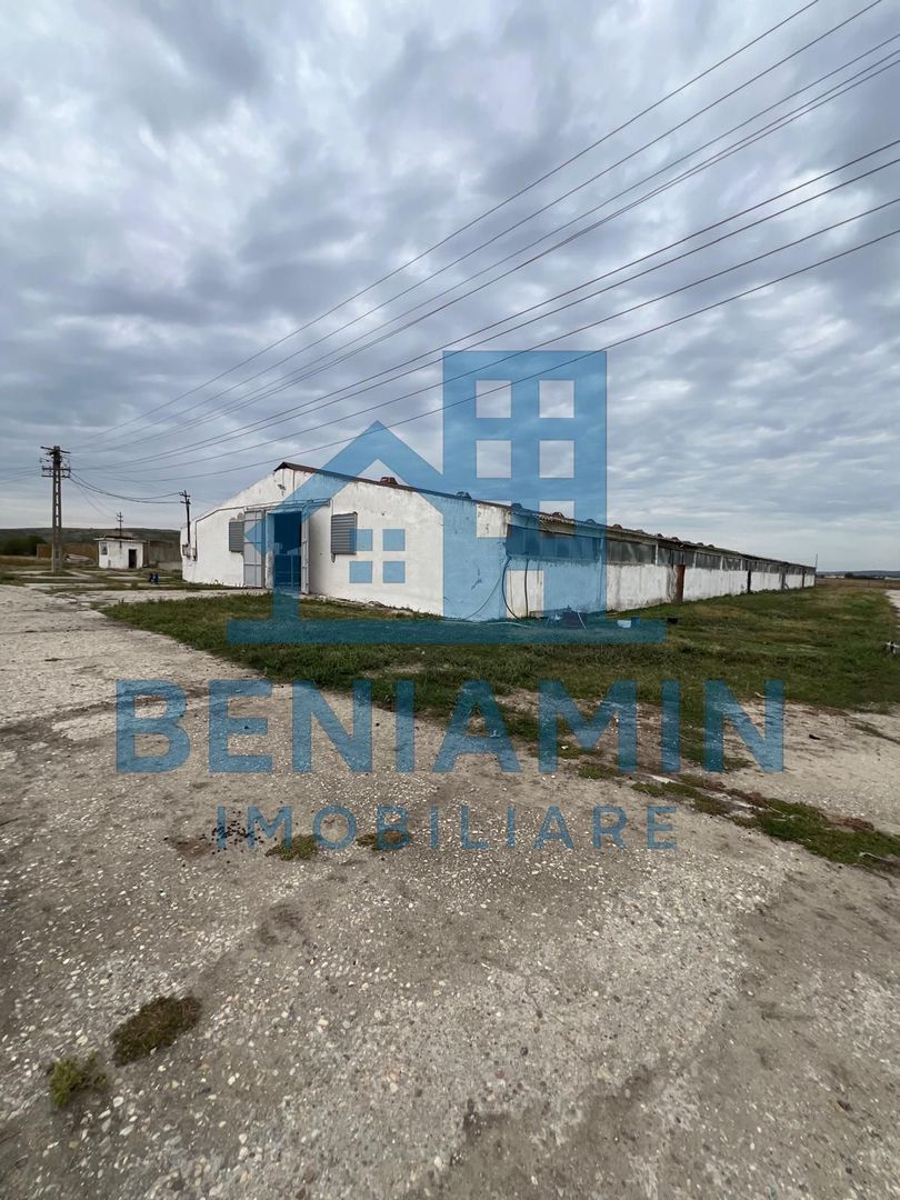 60.000mp Ferma de bovine, păsări, porcine, culturi agricole Diverse - Poză 2