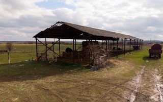 Fermă cu teren intravilan de 35000 mp în Mișca - Poză 25