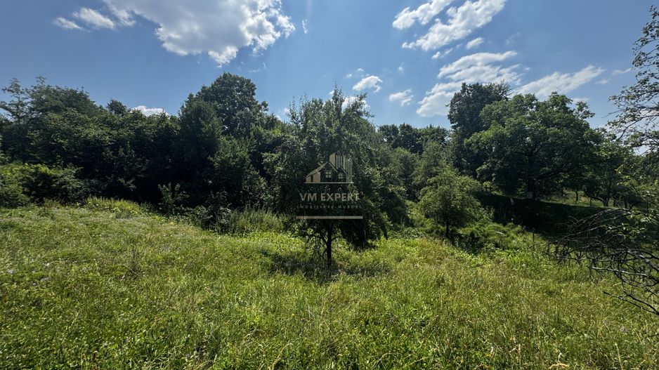 TEREN INTRAVILAN 2146 MP, ALBESTII DE MUSCEL, ARGES - Poză 1