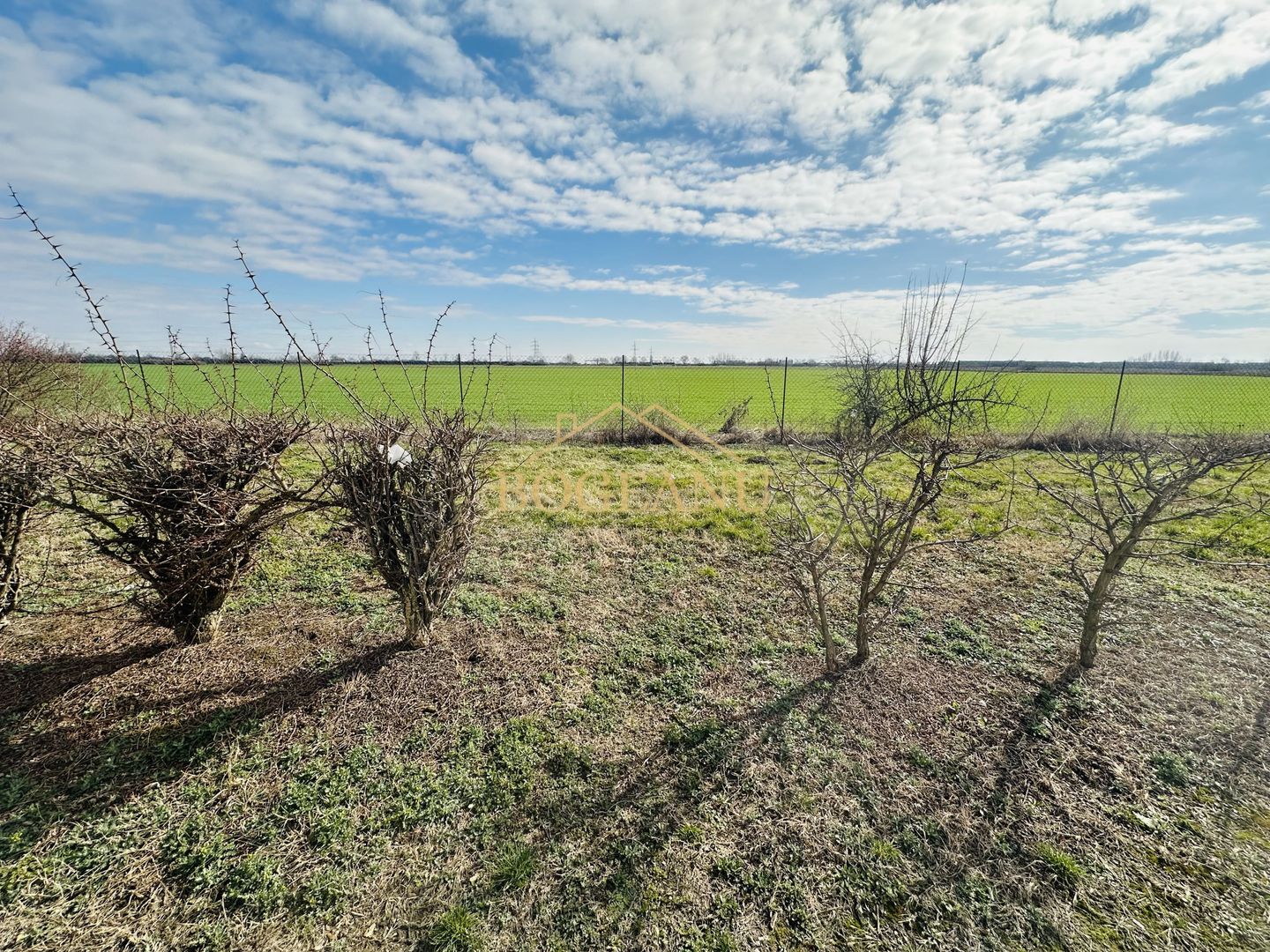BG141-Teren-46.400 mp-Front 300 ml acces TIR | INCONTRO-Calea Sagului - Poză 6