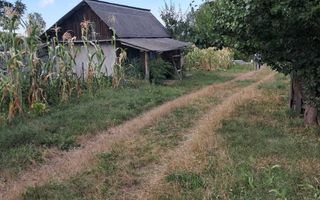 Domeniu de 7.500 mp cu casă bătrânească, anexe, livadă și iaz în Stolniceni-Prăjescu, Iași - Poză 4