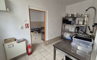 Spațiu Comercial de Vânzare în Domenii – 14 Camere, 351 mp Teren - Poză 9