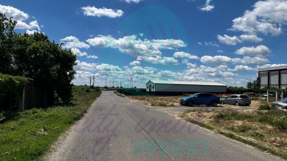Teren intravilan 1.000 mp | Lângă Balta Pasărea | 20 de min de București - Poză 6