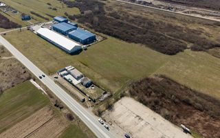 Teren extravilan de 7.000 mp lângă Păltiniș - Poză 8