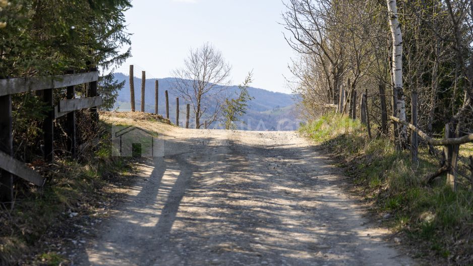 Teren intravilan în Poiana Mărului, 3.791 mp cu priveliste panoramica - Poză 6